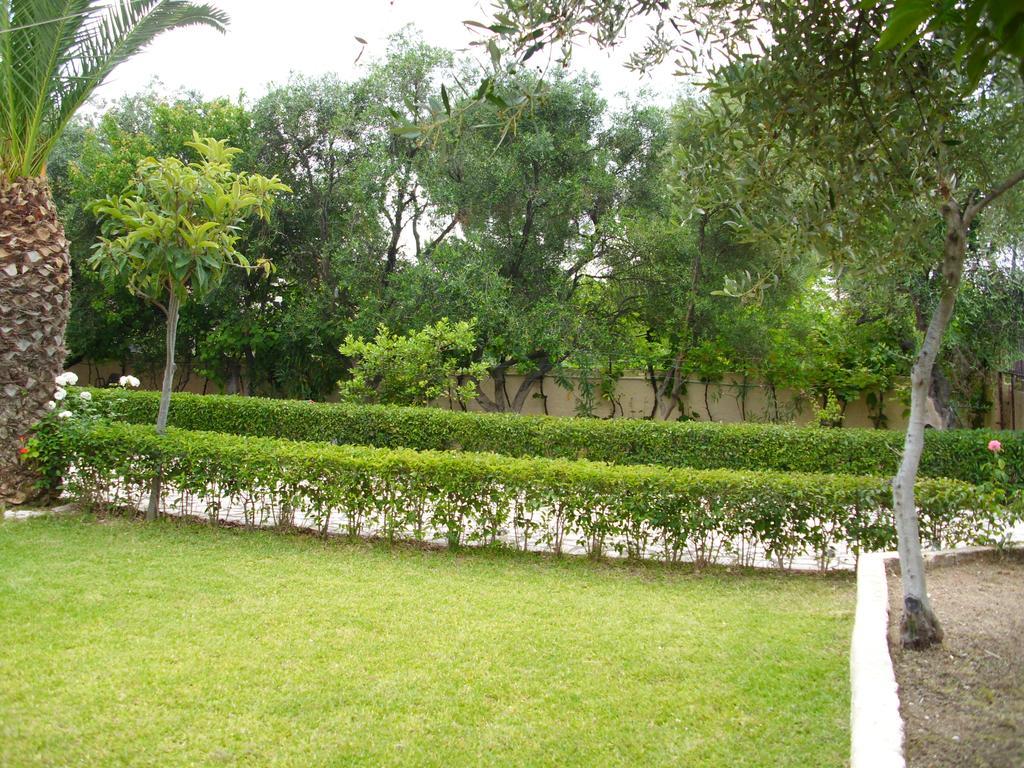 Olga'S Garden Apartments Plage d'Almiros Extérieur photo