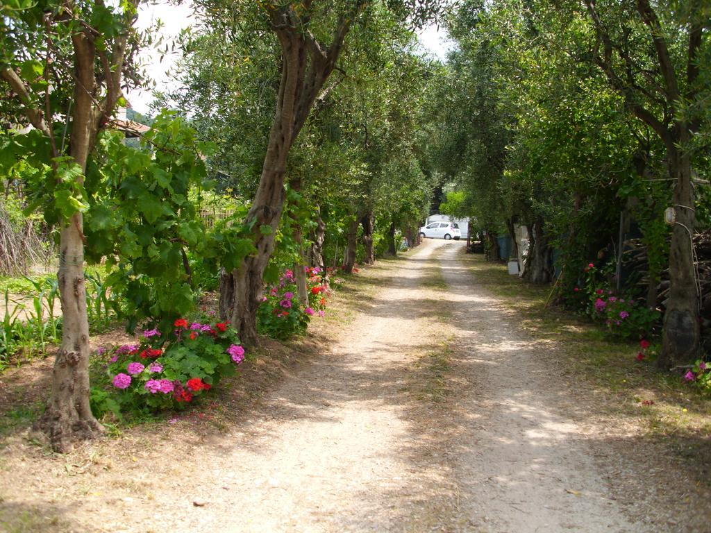 Olga'S Garden Apartments Plage d'Almiros Extérieur photo